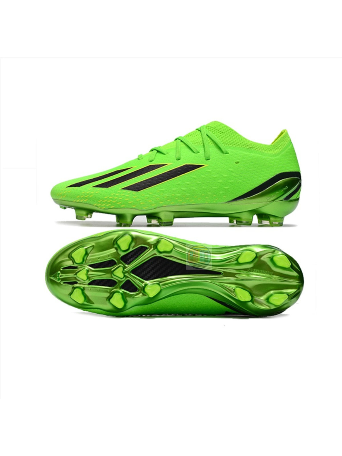 X Speedportal.1 FG World Cup 2022 Edition