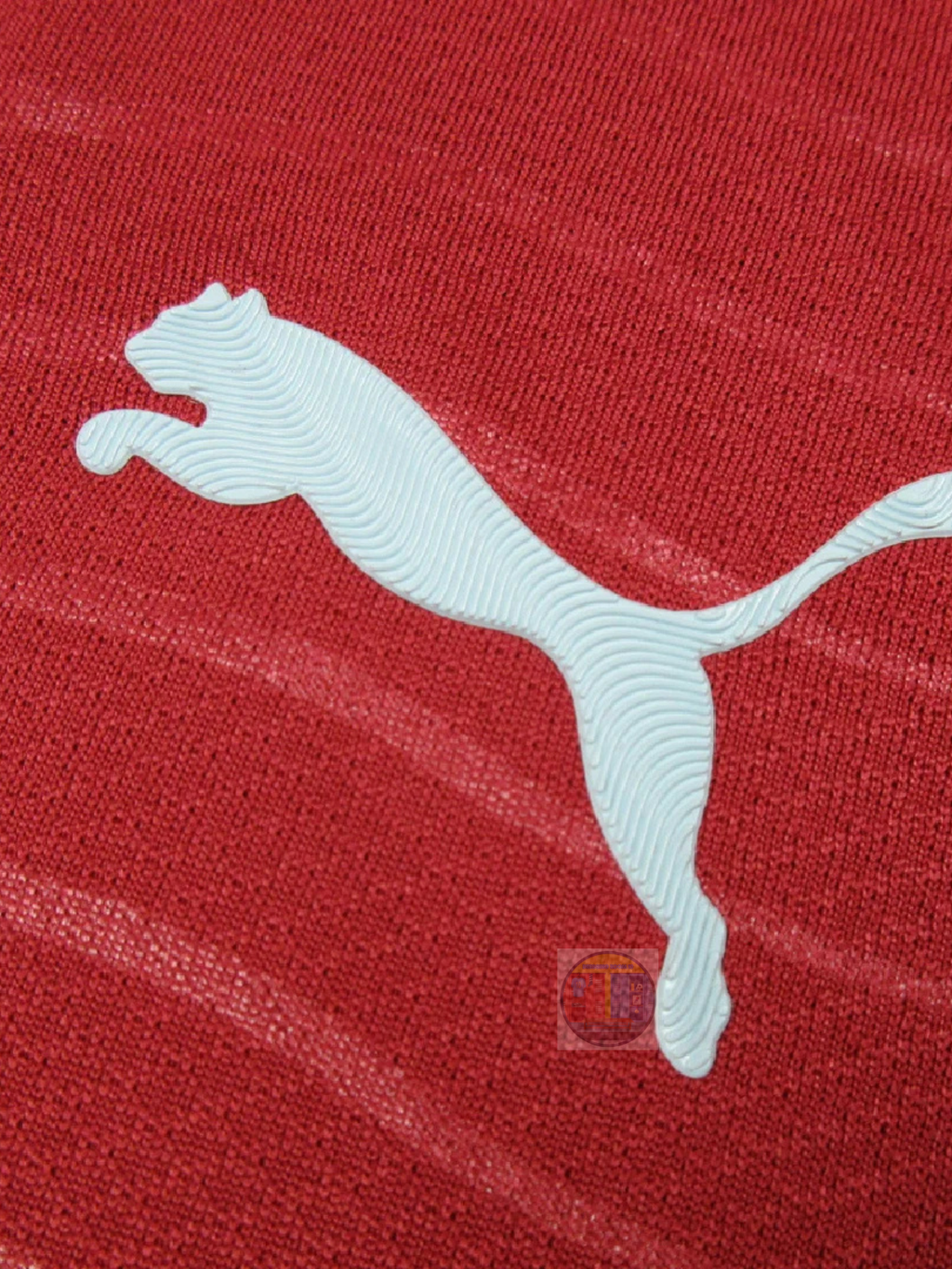 Portugal 26 Home Player Version Jersey