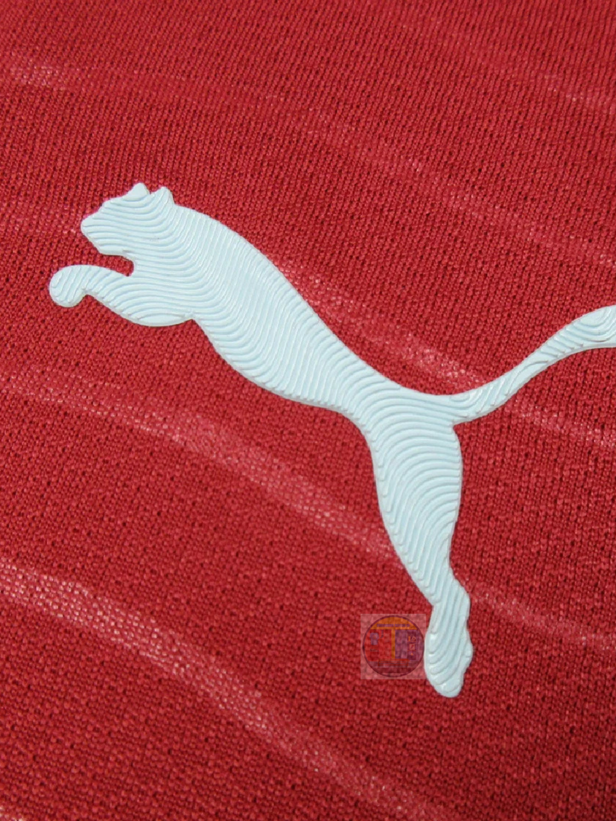 Portugal 26 Home Player Version Jersey