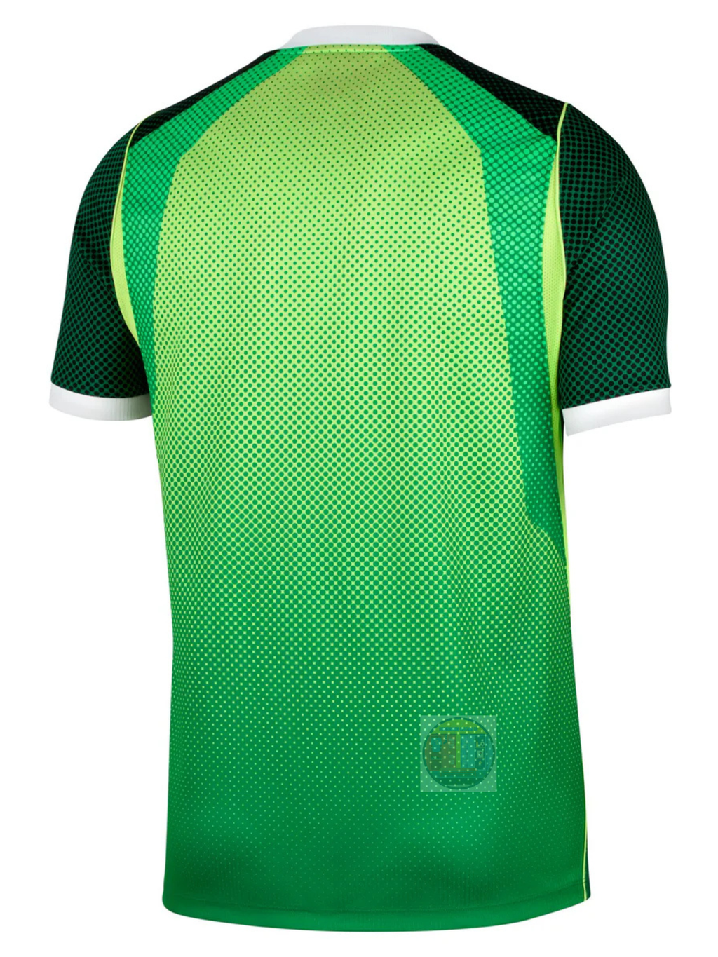 Nigeria 26 Home Player Version Jersey